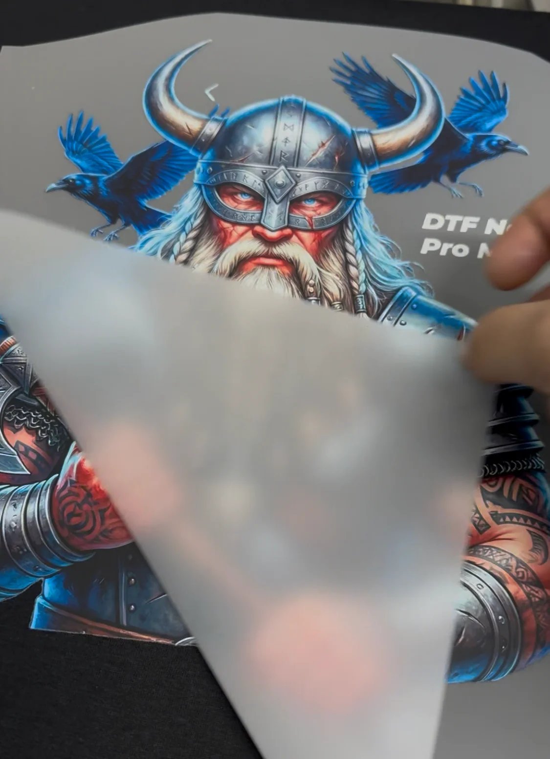 Diseño vikingo con cuervos